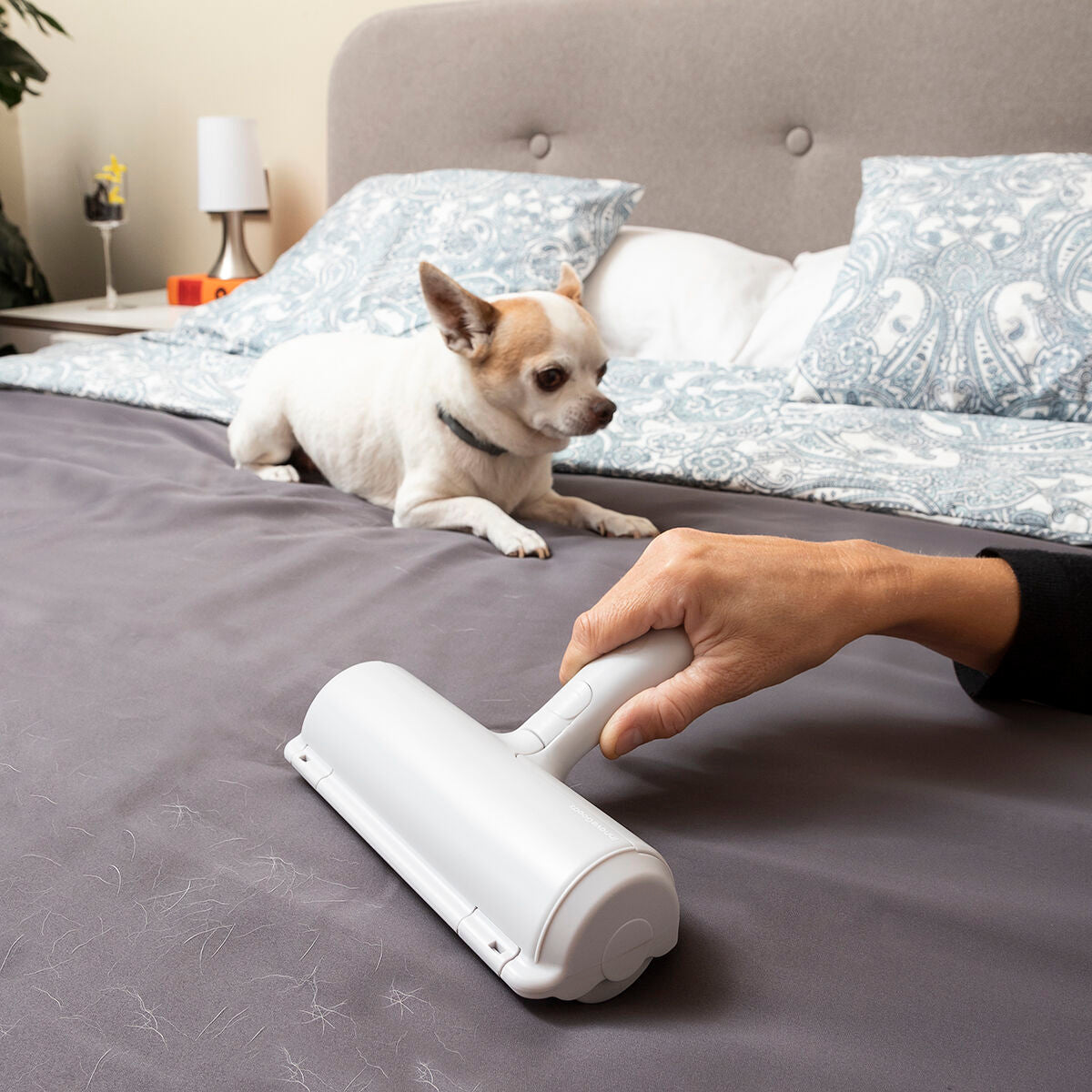 🐾 PawRoller – Effortless Hair Removal from Sofas, Beds & More