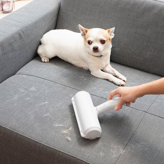 🐾 PawRoller – Effortless Hair Removal from Sofas, Beds & More